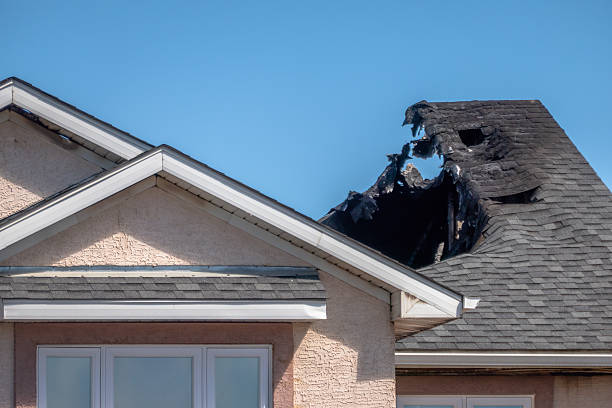 Top rated local Structural Rebuild specialists in Winter Garden, FL